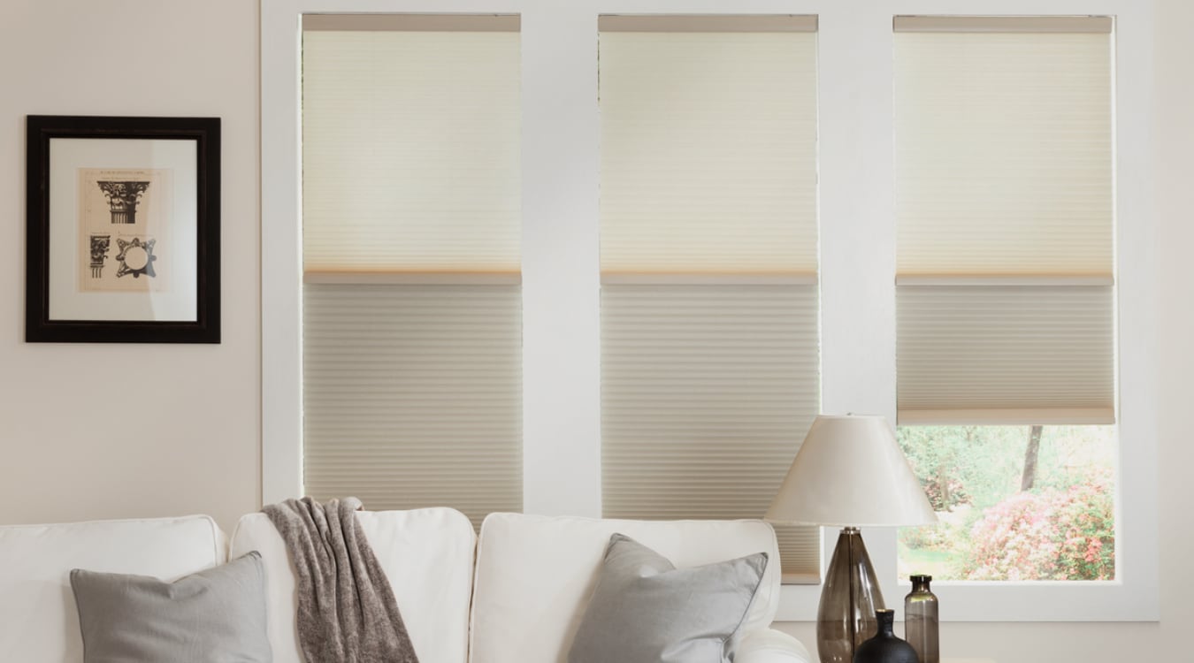 Cellular shades in a Minneapolis living room